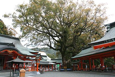 那智の樟