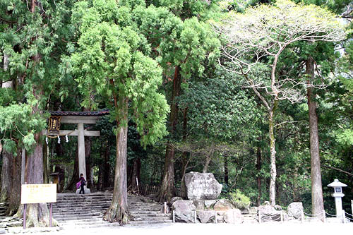 那智の滝の神社