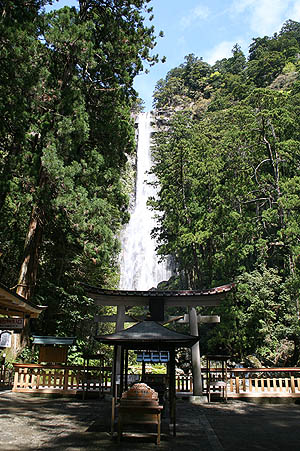 林道の先の滝