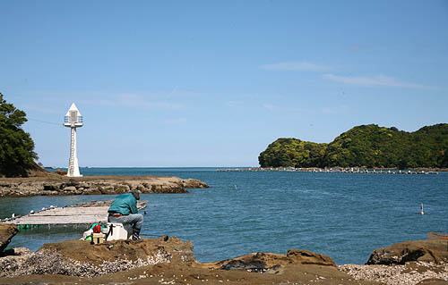 那智勝浦の海