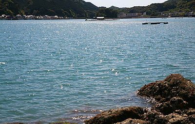 海岸線の景色