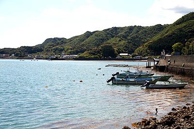 海岸線の景色